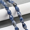 Natural Blue Spot Jasper Beads Strands G-P520-C05-01-2