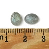 Natural Labradorite Cabochons G-A094-01B-11-3