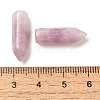 Natural Lepidolite Pointed Pendants G-C158-05F-3