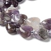 Natural Amethyst Beads Strands G-E614-A22-01-3
