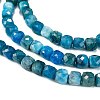 Natural Apatite Beads Strands X-G-E560-A07-4mm-A-3