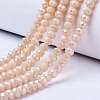 Electroplate Glass Beads Strands EGLA-A044-P4mm-BM-2
