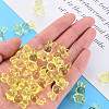 Transparent Acrylic Beads LS-MACR-S373-81-B06-6