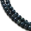 Natural Freshwater Shell Beads Strands SHEL-H003-03C-3