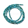 Natural HuBei Turquoise Beads Strands G-B130-A01-01-4