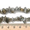 Natural Labradorite Beads Strands X-G-I225-15A-6