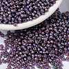 MIYUKI Round Rocailles Beads SEED-JP0009-RR0360-1