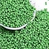 Baking Paint Glass Seed Beads SEED-K010-A27-1