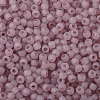 TOHO Round Seed Beads X-SEED-TR11-0151F-2