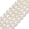 Natural Cultured Freshwater Pearl Beads Strands PEAR-J006-13C-01-1