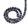 Natural Sodalite Round Beads Strands G-P075-07-6mm-2