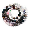 Natural & Synthetic Mixed Gemstone Beads Strands G-D080-A01-01-13-2