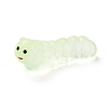 Luminous Resin Worm Ornament DJEW-R011-01C-02-1