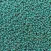 MIYUKI Round Rocailles Beads SEED-G008-RR0435-3