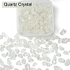 50G Natural Quartz Crystal Chip Beads G-YW0001-78-1