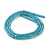 Dyed Synthetic Turquoise Beads Strands G-B124-A03-01-3