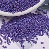 MIYUKI Delica Beads Small X-SEED-J020-DBS0880-1