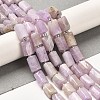 Natural Kunzite Beads Strands G-N327-06-36-2