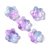 Baking Paint Glass Beads LS-GLAA-S202-10F-1