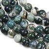 Natural Tree Agate Beads Strands G-I199-03-10mm-7
