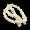 Chips Natural Dyed Seashell Beads Strands X-SSHEL-Q295-22A-2