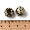 Natural Dalmatian Jasper Gemstone European Beads G-N342-03J-3