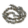 Natural Labradorite Beads Strands G-I225-15A-4