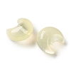 Baking Paint Transparent Glass Beads DGLA-F003-01H-2