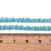 Opaque Glass Beads Strands GLAA-N019-3mm-18-2