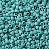 TOHO Round Seed Beads X-SEED-TR08-0413F-1