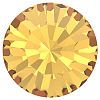 Preciosa® MAXIMA Crystal Round Stones X-PRC-RBSS45-10070-1