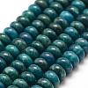 Natural Apatite Beads Strands G-F478-04-10x6mm-1