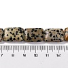 Natural Dalmatian Jasper Beads Strands G-T047-B16-01-5