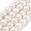 Natural Cultured Freshwater Pearl Beads Strands PEAR-C003-19A-1