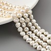 Natural Cultured Freshwater Pearl Beads Strands PEAR-A006-07B-2