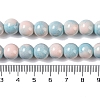 Baking Paint Glass Bead Strands GLAA-H031-01C-10-5