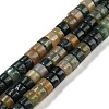 Natural Indian Agate Beads Strands G-L528-05A-1