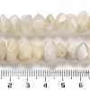 Natural White Moonstone Beads Strands G-N327-05-04-5