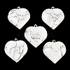 Natural Howlite Pendants GG-K002-04B-1