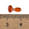 Natural Carnelian(Dyed & Heated) Cabochons G-B096-01D-3