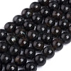 Natural Labradorite Beads Strands G-L505-07-10mm-1