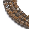 Natural Tiger Iron Beads Strands G-B120-A01-01-4