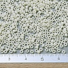 MIYUKI Round Rocailles Beads X-SEED-G007-RR0491-4