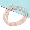 Natural Rose Quartz Beads Strands G-G085-B19-02-2