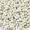 Baking Paint Glass Seed Beads SEED-F005-01A-10-3