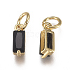 Brass Micro Pave Cubic Zirconia Charms ZIRC-F111-03G-04-2