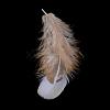 Chicken Feather Costume Accessories FIND-Q046-02-3