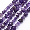 Natural Amethyst Beads Strands G-K230-13-1