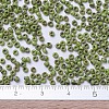 MIYUKI Round Rocailles Beads SEED-G007-RR4515-4
