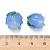 Handmade Lampwork Beads LAMP-F041-02-A12-4